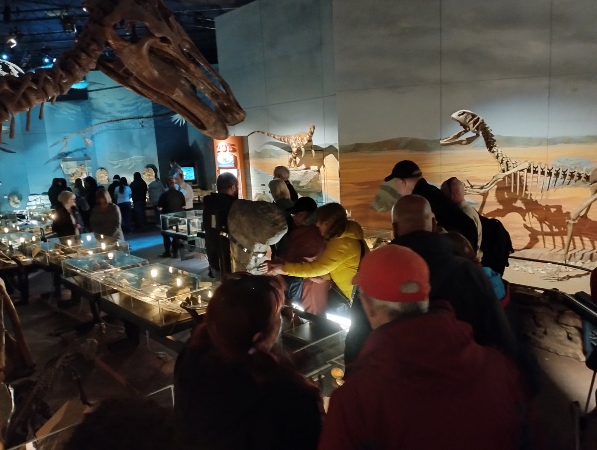 Some photos from yesterday’s audio described tour at @Museum_Cardiff with a group from Sightlife Swansea. You can find more information about our Audio Description Tours on our website: museum.wales/learn/adult-an….