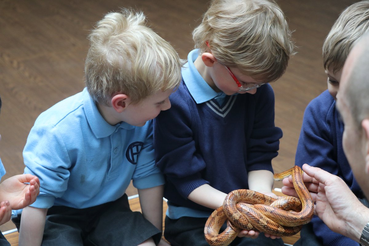 TownCloseSchool's tweet photo. To their obvious delight, he, also, brought along some friends to introduce to them with the children enjoying close encounters with a corn snake, a tarantula, a gecko & a large cockroach! A fantastic morning of interactive learning.
#TownCloseTopics #TownClosePrePrep https://t.co/h03krYkJxk