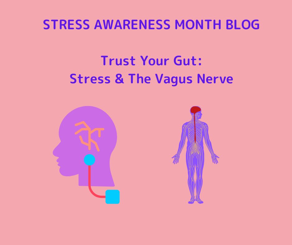 Have you ever wondered why we say trust your gut? Kat, our Mental Health Safeguarding and Clinical Supervision Lead, explains the relationship between stress and our #GutHealth. Click the link to read ⬇️ maryfrancestrust.org.uk/trust-your-gut… #StressAwarenessMonth #TrustYourGut