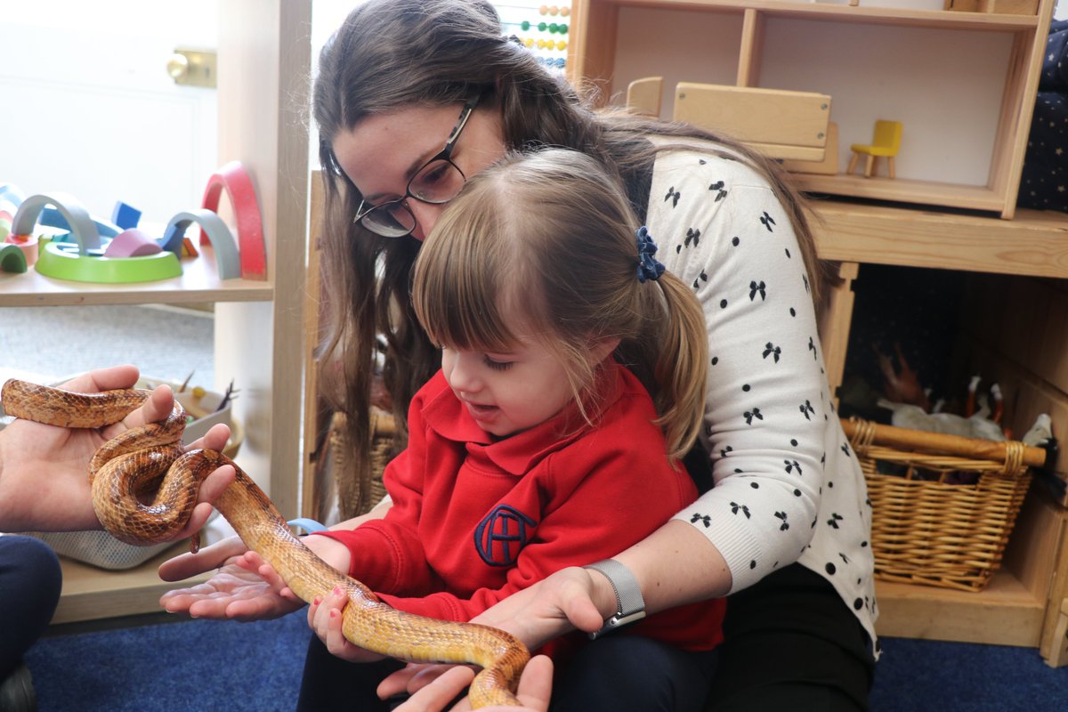 TownCloseSchool's tweet photo. To their obvious delight, he, also, brought along some friends to introduce to them with the children enjoying close encounters with a corn snake, a tarantula, a gecko & a large cockroach! A fantastic morning of interactive learning.
#TownCloseTopics #TownClosePrePrep https://t.co/h03krYkJxk