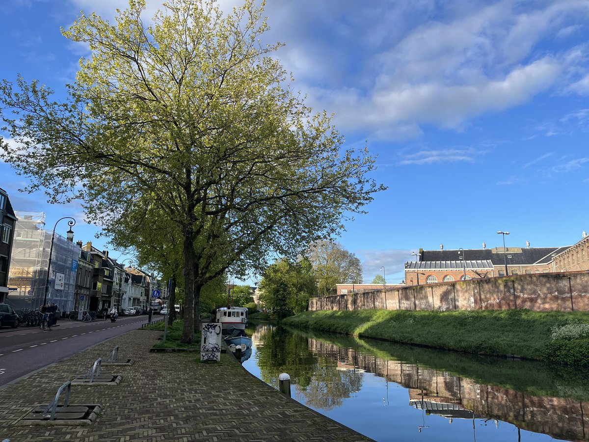 Beautiful #Utrecht with sun. #MorningRun in still new home.
Love the variety of running I can do here from city runs like these to amazing forests a short drive away.
