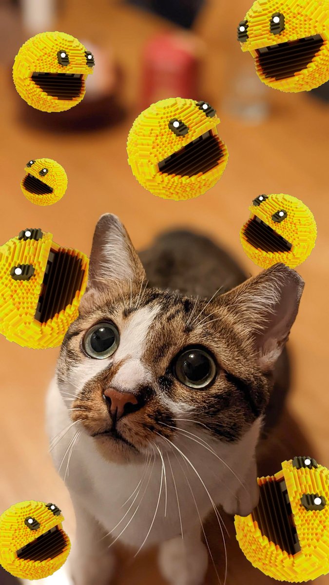 My cat also wanted to jump in on the <a href="/pacmoon_/">Pacmoon</a>
photo trend. How did he do? Show him some love!! 😻🫶