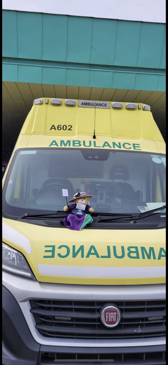 Stephanie Robinson tweet media