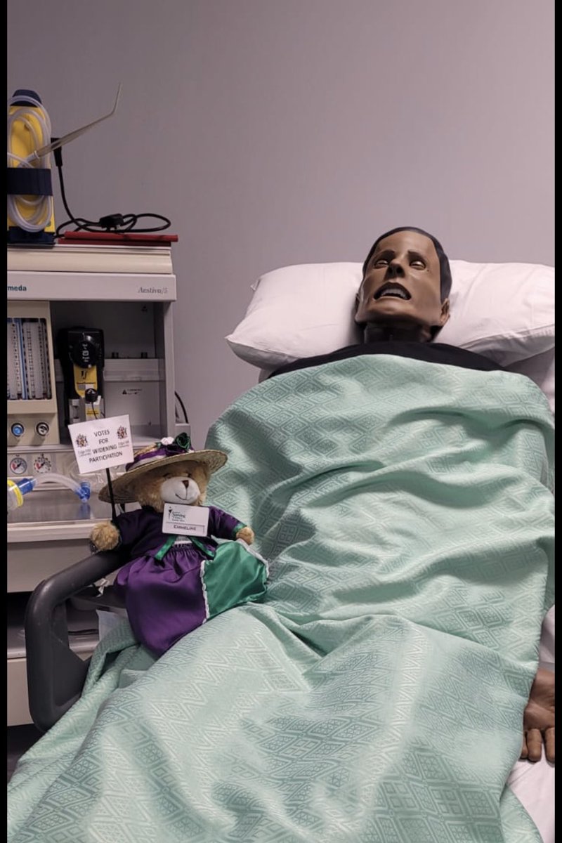 Stephanie Robinson tweet media