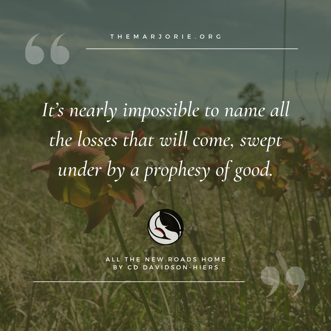 📣 New Story Alert ✨ Check out the latest from our Dispatches from a Sinking State series: "All the New Roads Home" by CD Davidson-Hiers. 🏡  

Read CD's stirring essay on the impact of suburbanization on nature and community. ➡️ themarjorie.org/2024/04/16/all… [link in bio]
