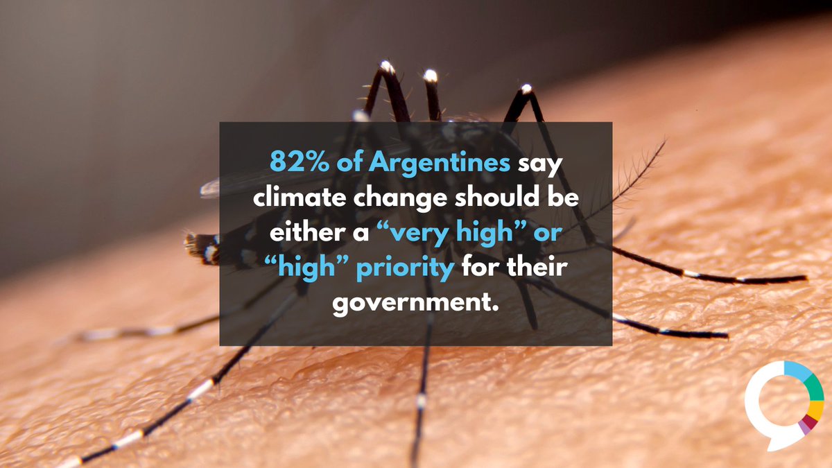 Amidst record-high temperatures and a lackluster government vaccine rollout, Argentina is suffering its worst-ever dengue outbreak with over 57,000 cases in the first 8 weeks of 2024, a 2,153% increase compared to the same period last year. theguardian.com/global-develop… via @Guardian