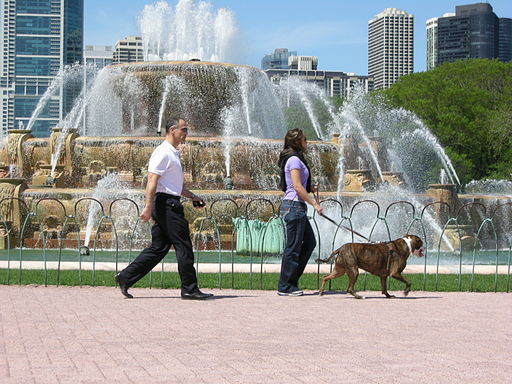 A dog is an ideal #workout partner: always supportive, happy to go for a #walk and never judgmental. The #HumanAnimalBond is a great way to help you and your #dog lose weight or stay fit. #NationalExerciseDay #ReadUP @PurdueVet @PurdueHHS

ow.ly/eIF050RiXj0