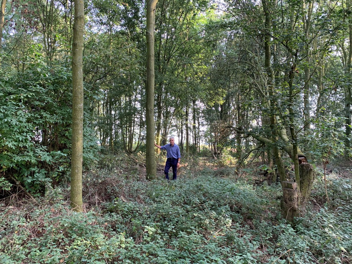 Hugh, one of our Woodland Ambassadors, has shared his experience of thinning trees by girdling Read our blog to find out more about this woodland management technique. forestrycommission.blog.gov.uk/2023/12/12/gir…