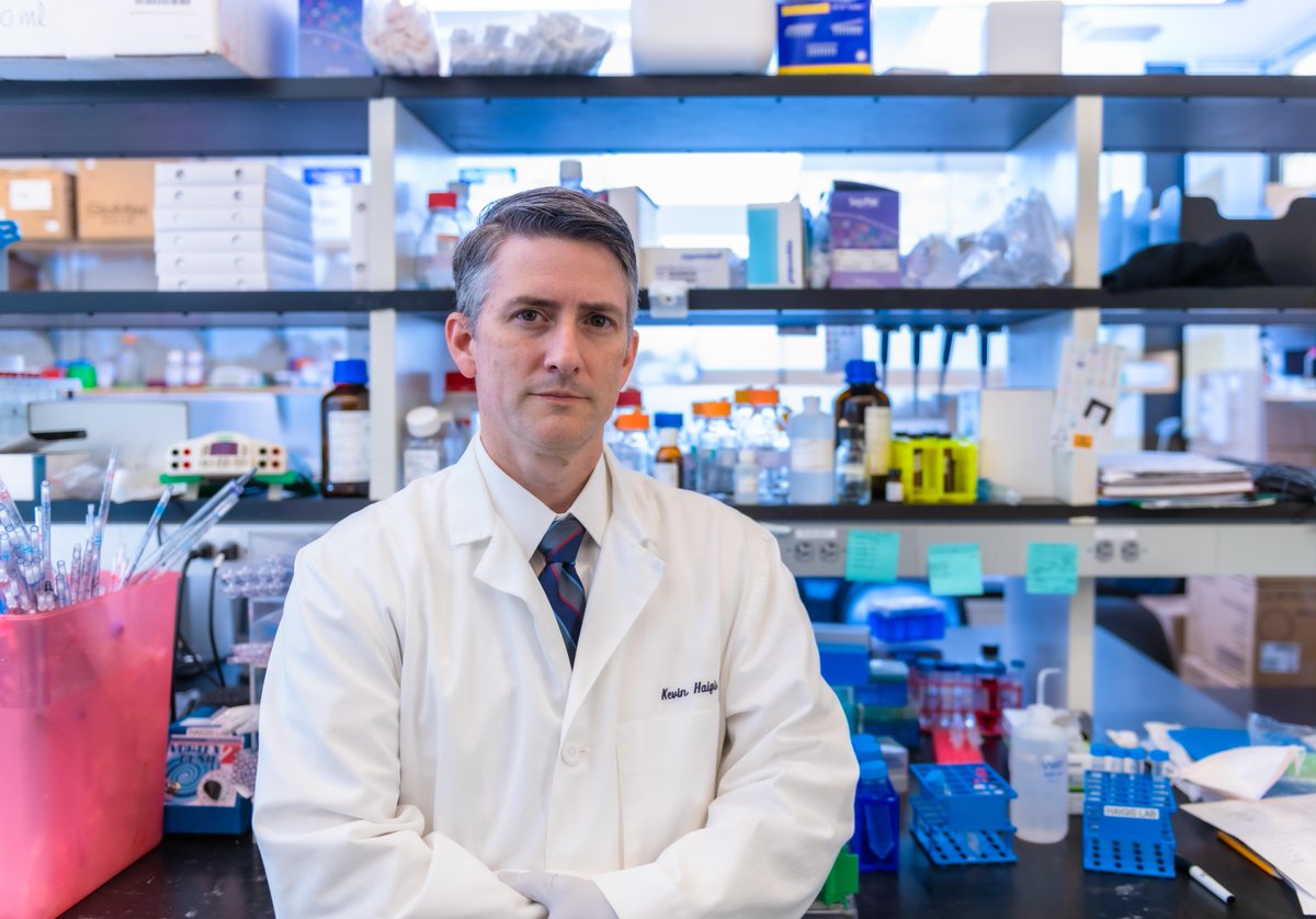 Congrats Kevin Haigis, PhD, @DanaFarber's Chief Scientific Officer - recognized as a Fellow of the American Association for the Advancement of Science (@aaas) for distinguished contributions within biological sciences. @KevinHaigisLab Press release: ms.spr.ly/6019Y6Whf