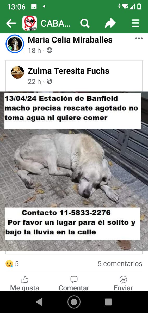 #Banfield 😢😢💔💔💔💔