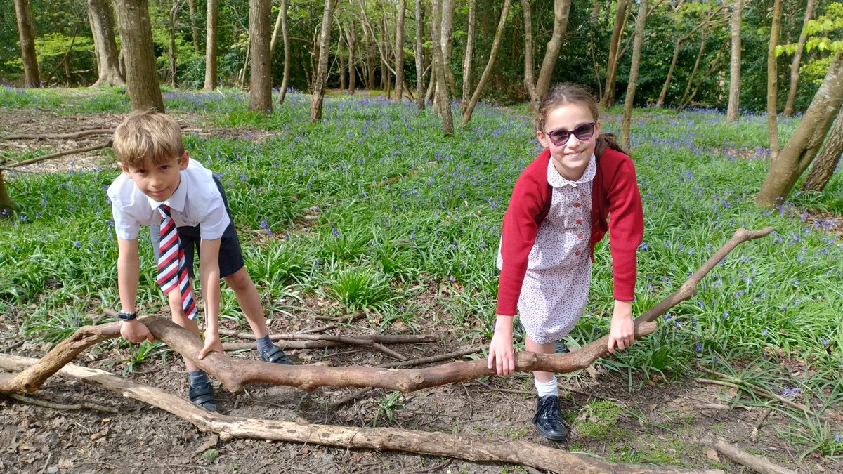 #WorldEarthDay when we all show our support of environmental protection.  The children have been working across the school woods, helping to restore paths and plant #bluebells  to help improve the school #NaturalEnvironment #CastleCourtCollaborative #CastleCourtCompassionate