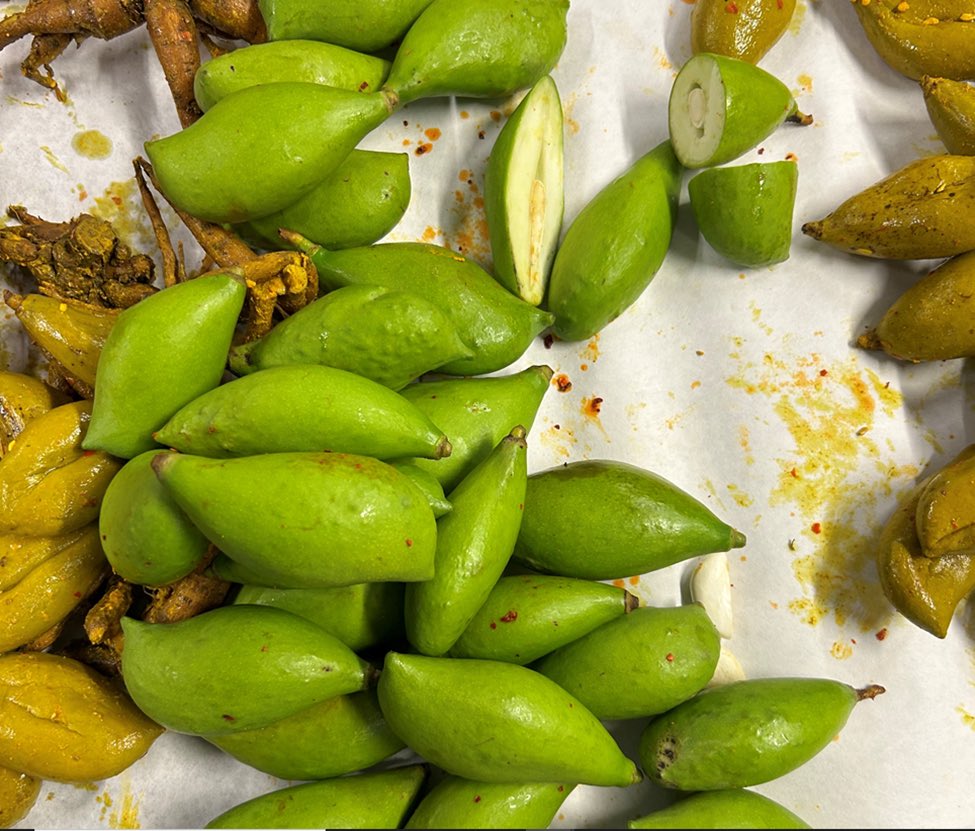 .@CBP agriculture K9 Jig sniffed out fresh mangoes hidden in a plastic bag within a container of pickled mangoes! This fruit is prohibited as they are a common host to mango weevils & fruit flies.  Great job by our #CBP ag team @DFWAirport! #CBPisReady