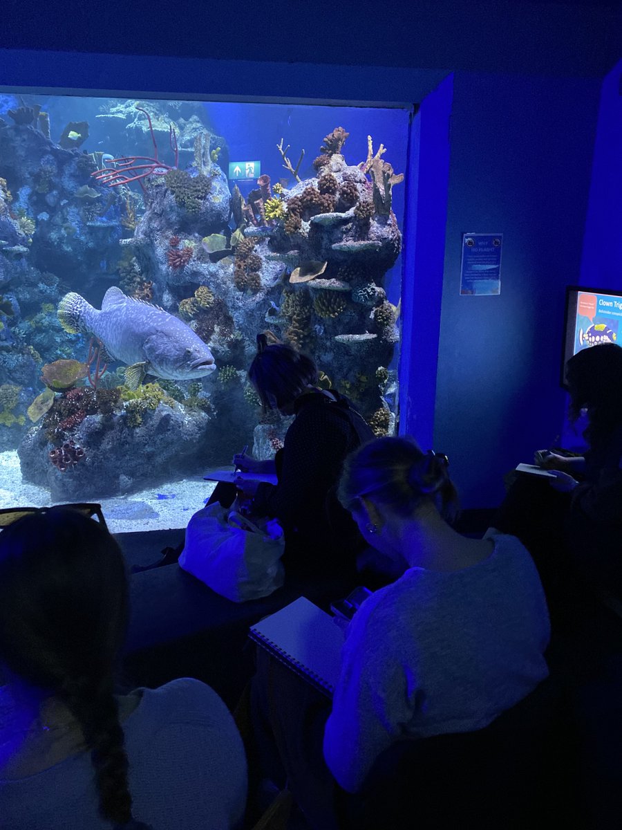 We'd like to say a huge thank you to the brilliant @BristolAquarium for hosting our mindful sketching art class today 🎨 and a special shoutout to Sheila the grouper fish who posed beautifully too!💙 #lovebristol #bristolaquarium #supporting