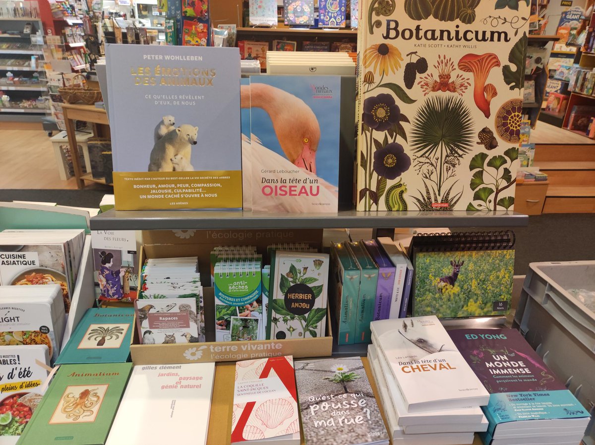 Dans la tête d'un oiseau et Dans la tête d'un cheval, les deux derniers ouvrages de la collection Mondes animaux, sont en librairie, ici mis en avant à Angers ✨ #operationnature