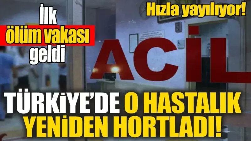 Türkiye’de o hastalık yeniden hortladı: İlk ölüm vakası geldi hızla yayılıyor gaziantepolusum.com/haber/19913370… #SonDakika #Haber #Gündem #Hastalık #Dikkat #Vaka #Ölüm #Sağlık