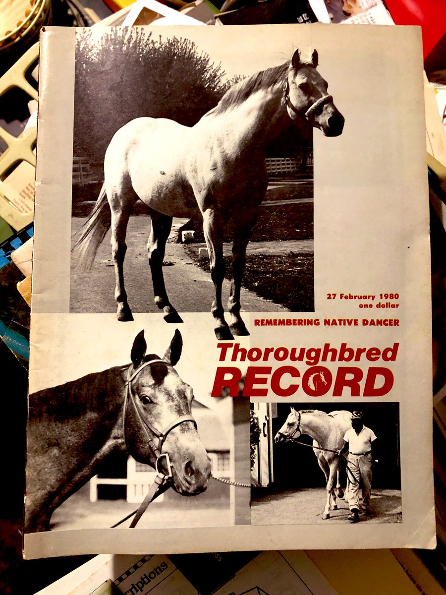 JackpotNick's tweet photo. Remembering #NativeDancer😍 my favorite grey😍 #TheThoroughbredRecord https://t.co/m138C6YJAj