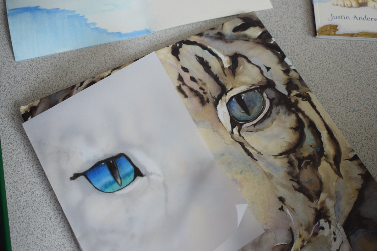 Y5 and Y6 children who are participating in the Wild Animals Project are at the stage where they are producing their own stories and illustrations about snow leopards and foxes. 

#wildanimals #animalillustrations #talent #localschool #battersea #clapham