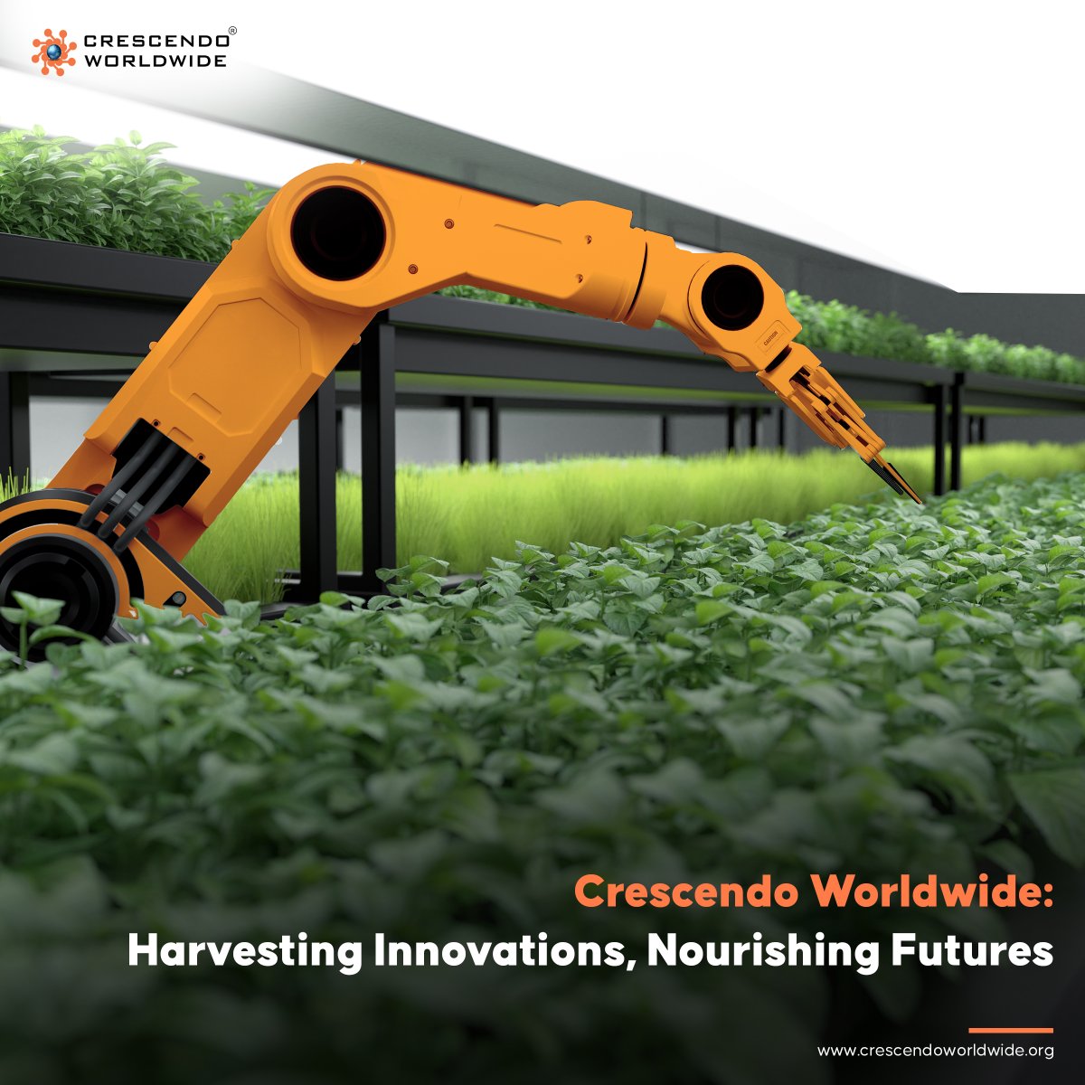 Agriculture &amp; Food Processing Spotlight! Delve into the latest trends and advancements in agriculture and food processing with Crescendo Worldwide. Stay informed about the industry's evolving landscape and join us in shaping its future.

#AgInnovation #foodtech #futureoffood