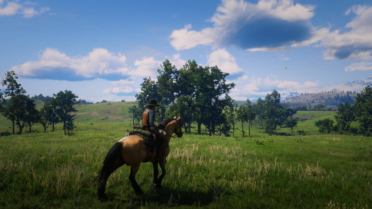 connybiesinger's tweet photo. Still riding... 🐎
#RDO #ReadDeadOnline #RDR2 #RedDeadRedemption2 https://t.co/jT0XXLELSI