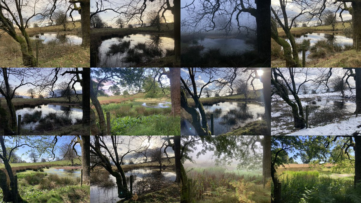 Why I can't stop photographing a pond ...

richardholman.com/blog/2024/4/18…

#creativity #inspiration #creativethinking #creativecoaching