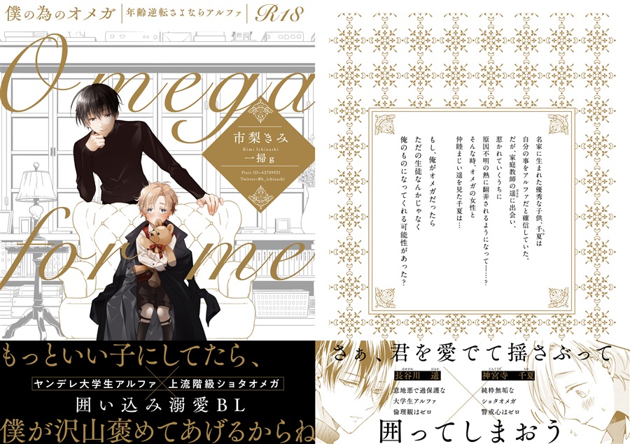 Amazon.co.jp: Isaac Trading 書き込みできる 宅配BOX & 置き配