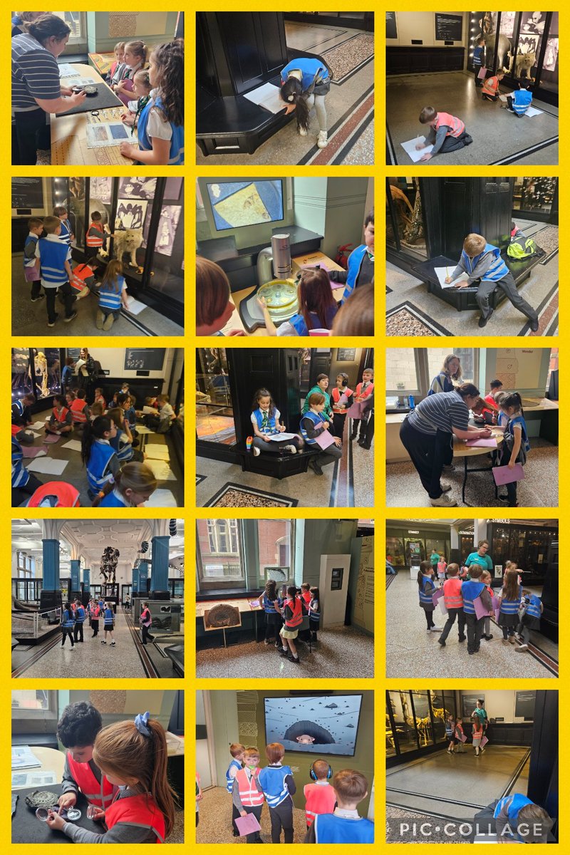 Mesne Lea tweet media