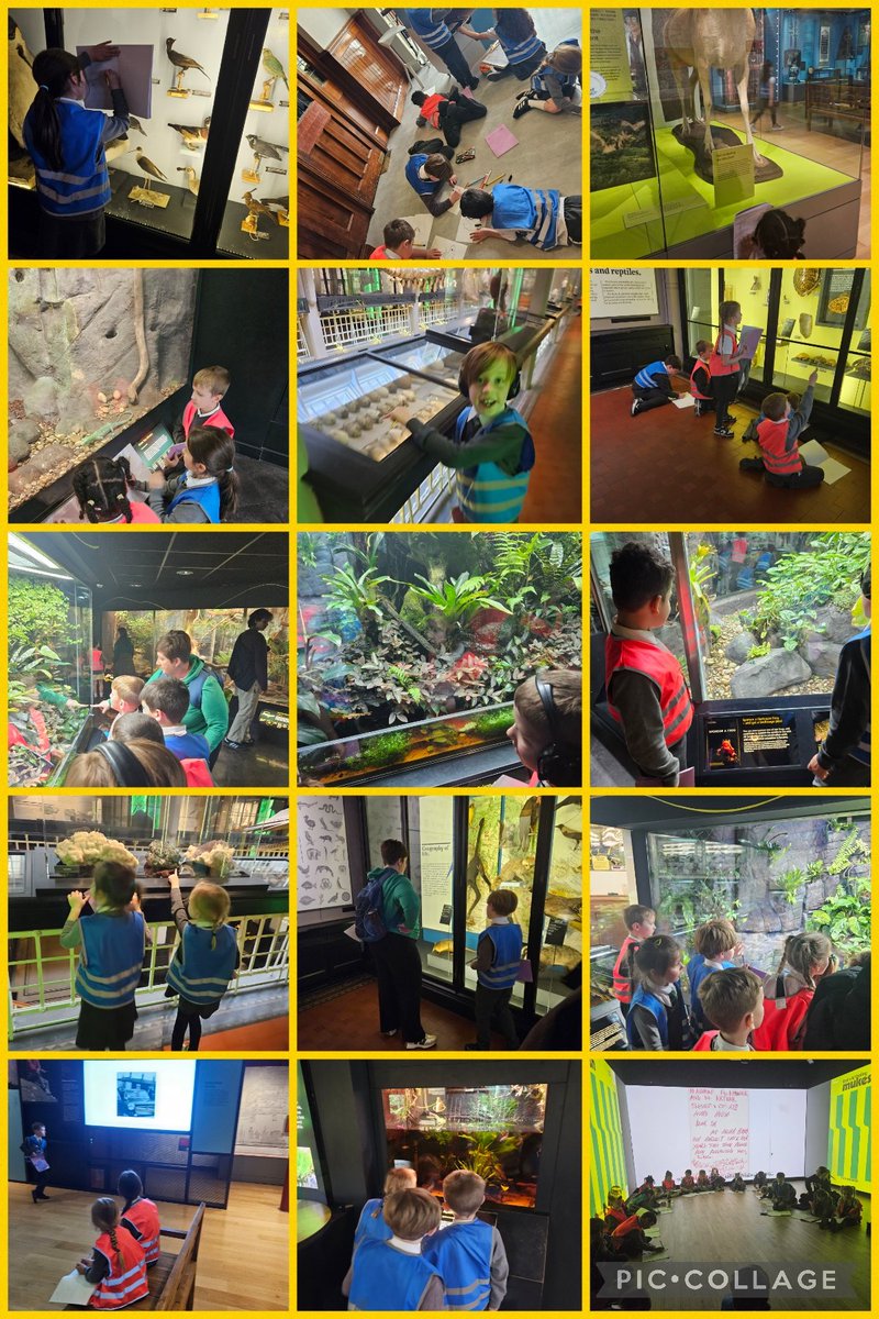 Mesne Lea tweet media