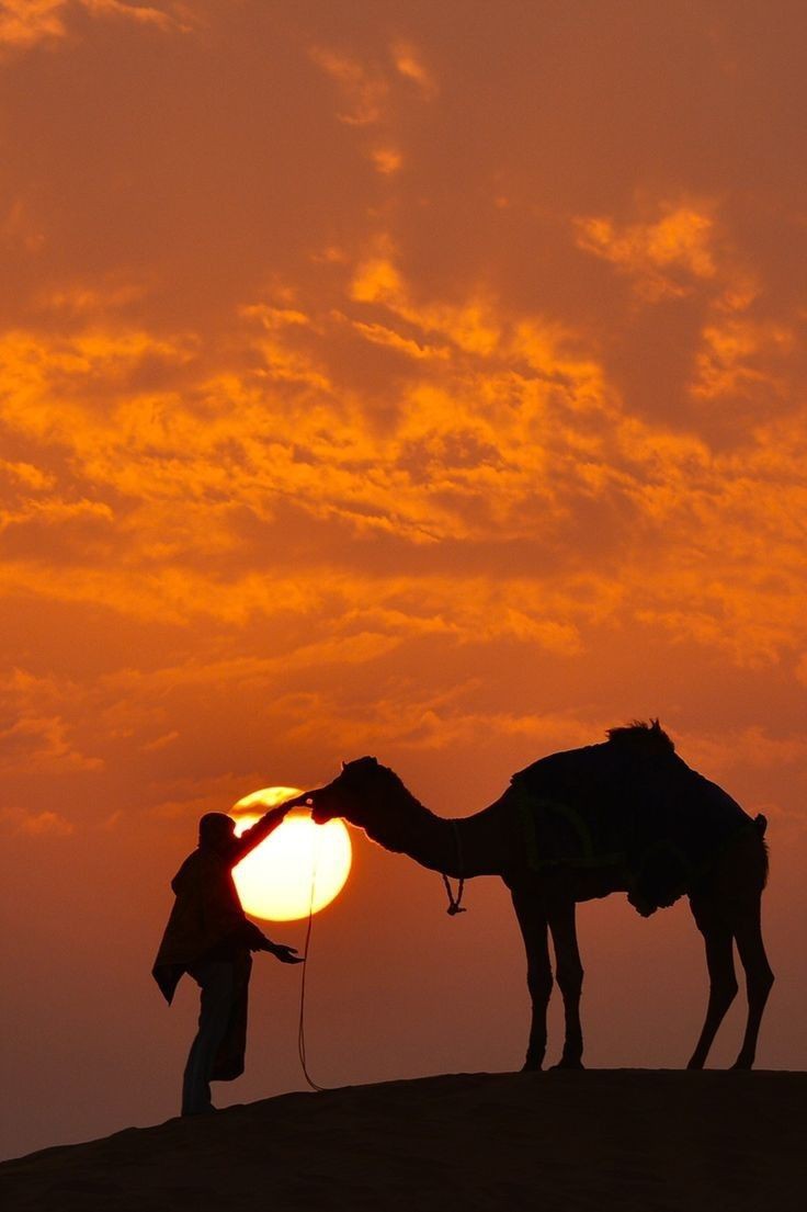محتاج حال البسيط الداله السالي
اللي مع الوقت مايدري كم الساعه..🧳🚶🏻‍♀️