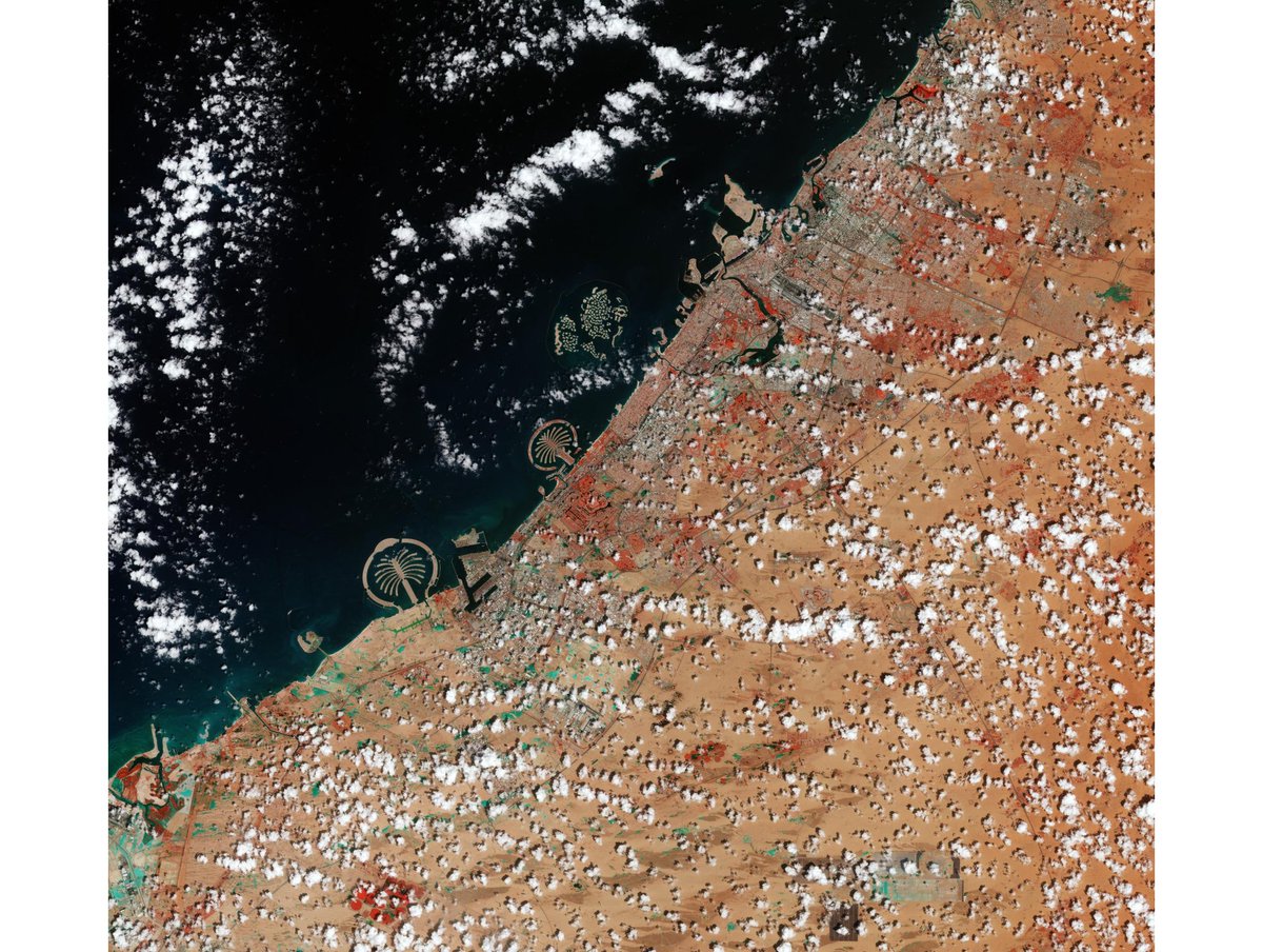 L'immagine a falsi-colori evidenzia in turchese 🟦 le aree allagate, mentre le macchie rosse 🟥indicano la vegetazione. #DubaiFlooding #eo #Sentinel2 @CopernicusEU