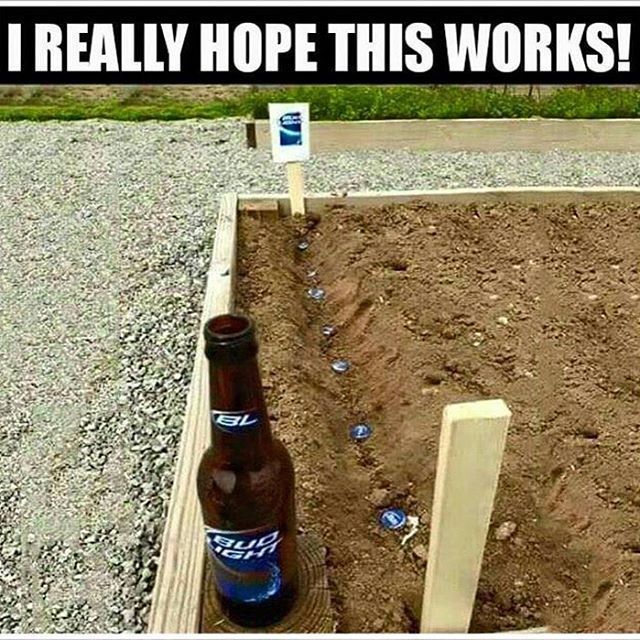 Just doing some gardening... 🍻 #gottagotolukes

#beer #beermeme #instabeer #beerlover #beerme #drinks #thirstythursday