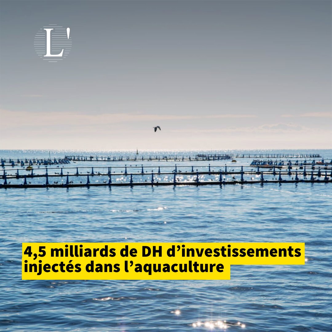 Ce montant concerne 441 projets dont 123 au profit des jeunes entrepreneurs et la construction de 11 marchés de poissons de nouvelle génération dans les ports 🔗bit.ly/4aXdzIv