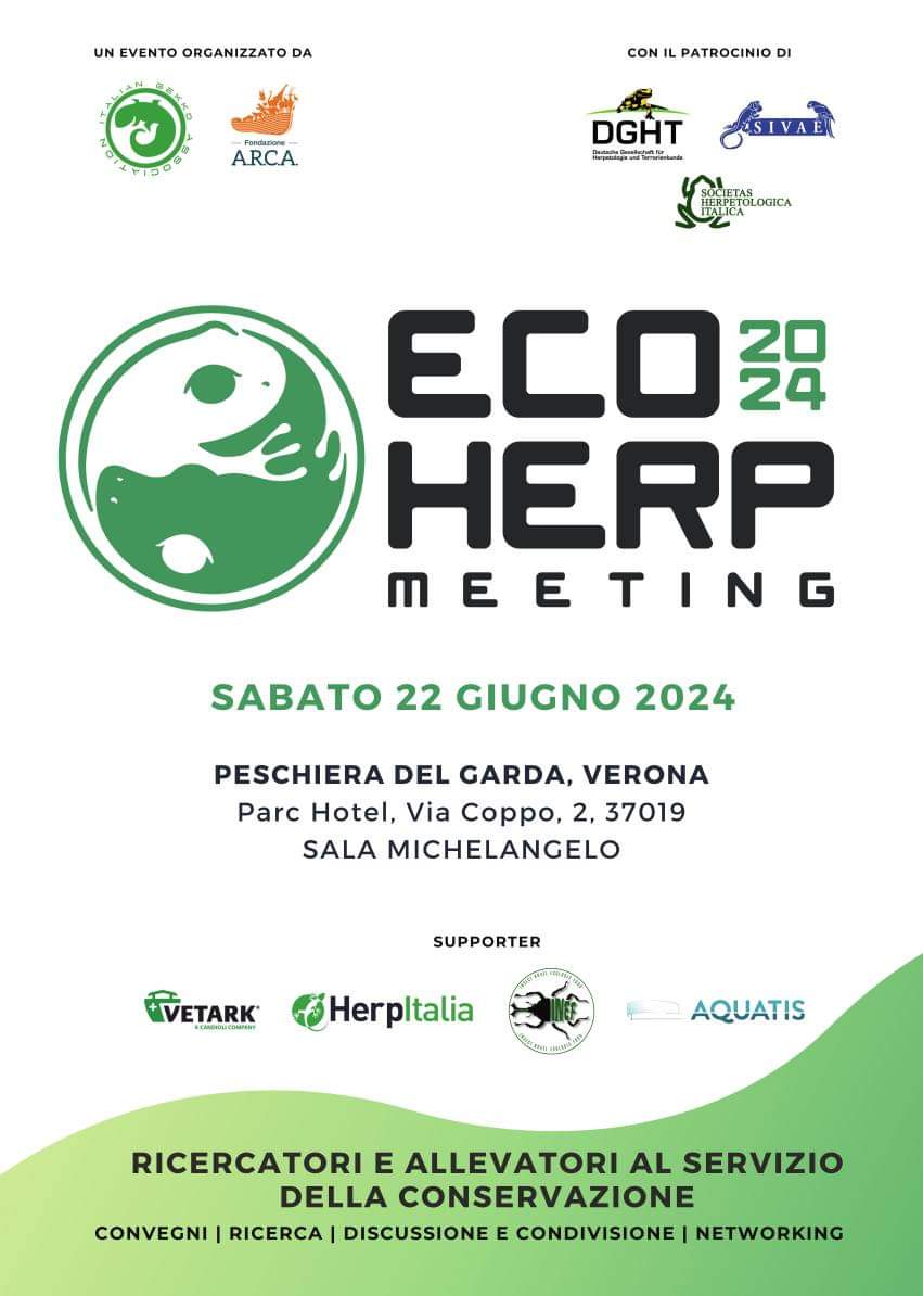 EcoHerp: siete pronti all'evento erpetologico del 2024?!
Are you ready for the herpetological event of the year?
#ecoherp #meeting #reptiles #amphibians