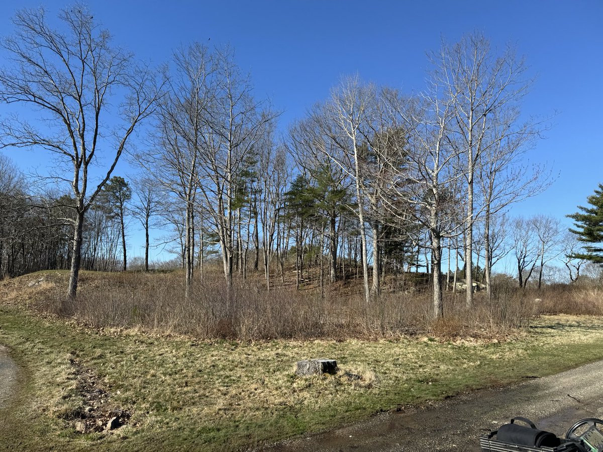 supercncc's tweet image. Brush clearing left of 7 green