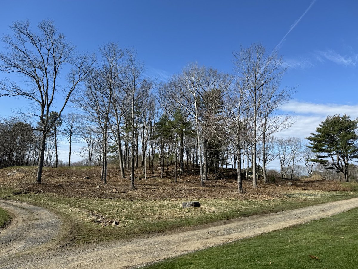 supercncc's tweet image. Brush clearing left of 7 green