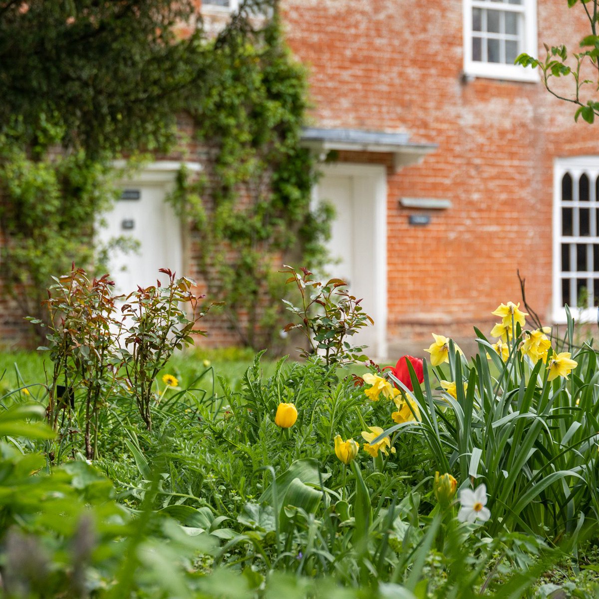 We've got plenty of UPCOMING EVENTS both online and in-person! 🥾 Guided Chawton Village Walk, this Saturday 20 April 🏡 Virtual House Tour: Australia Special, Sunday 28 April 📖 Virtual Book Club: Pride and Prejudice, Thursday 9 May FIND OUT MORE 🎟️: buff.ly/3v8vyar