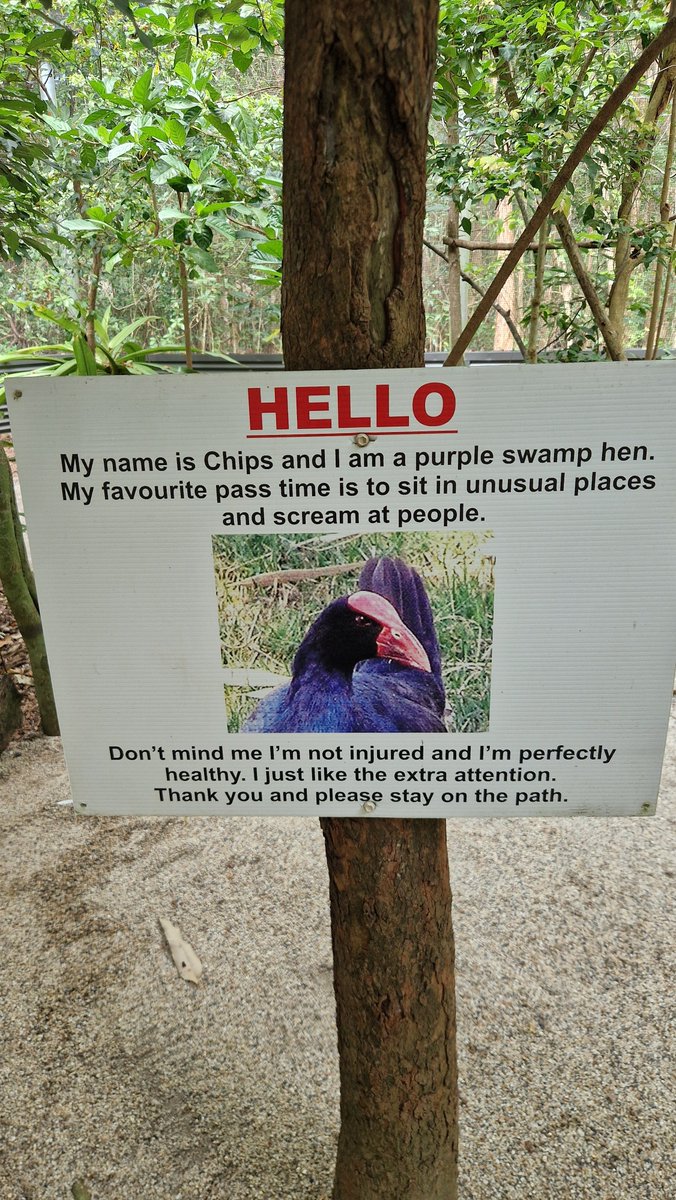 It's good to have hobbies.