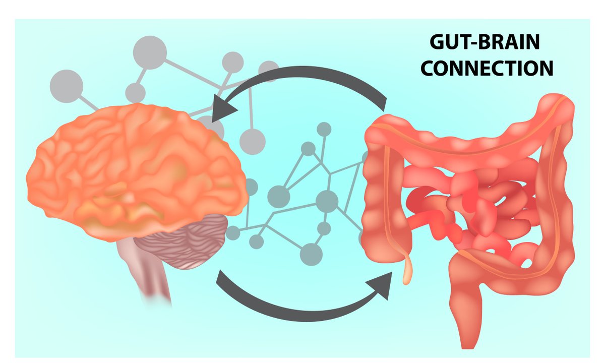 NIDDK is hosting a #hybrid workshop with experts in introception, obesity, and disorders of #gut-brain interactions (#DGBIs) to examine the exacerbation of such diseases and identify research gaps. Register by 4/29. niddk.nih.gov/news/meetings-…