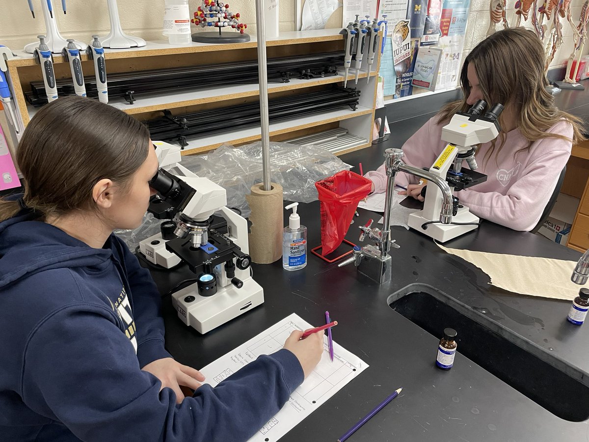 Katie McGormley tweet media