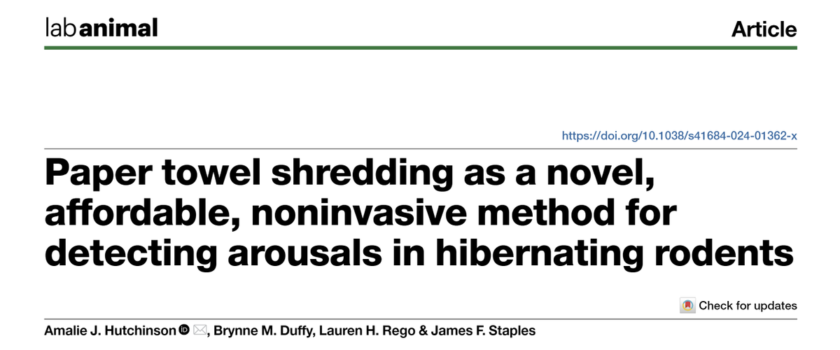 Check out my latest publication in the journal Lab Animal - Ground squirrels, paper towels, and hibernation!🐿️🧻❄️ Use this link to read the paper: rdcu.be/dE6iy @BrynneDuffy @laurenrego3 @LA_NatRes