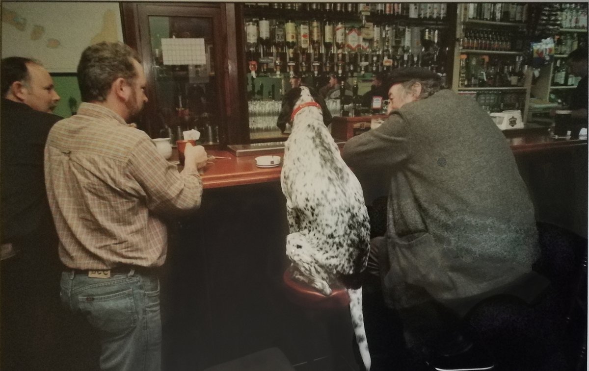 Name the bar - likely somewhere in Galway (city or county), c.1990s. Dog's companion is Pádraig Ó Céidigh, Prof. of Zoology @galwaydigital @UniOfGalwayASC …bitions.library.universityofgalway.ie/s/visual-histo… #bleachtaireacht @CoynesGastropub thoir nó thiar, meastú?