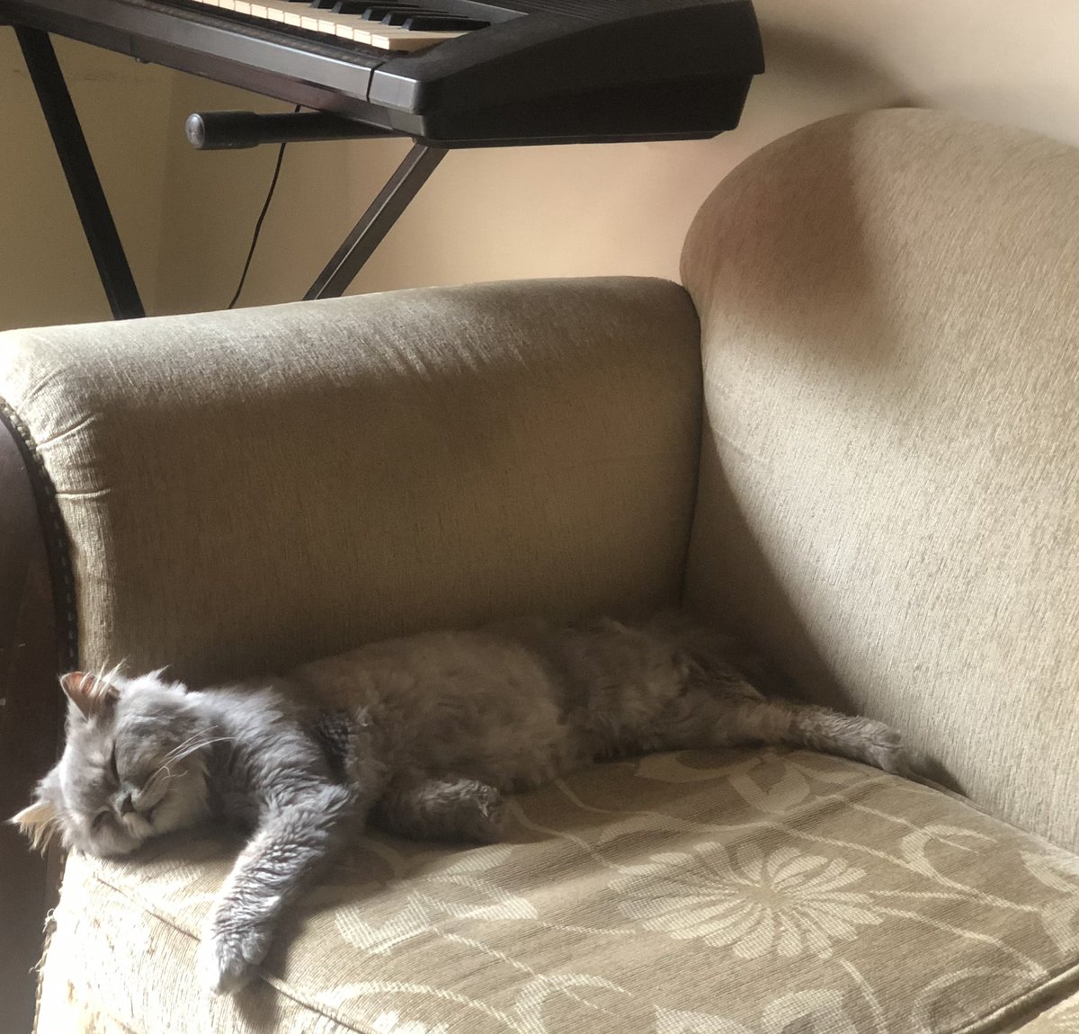 Same mood emilio same mood😪

“me and my cat are very much alike today”