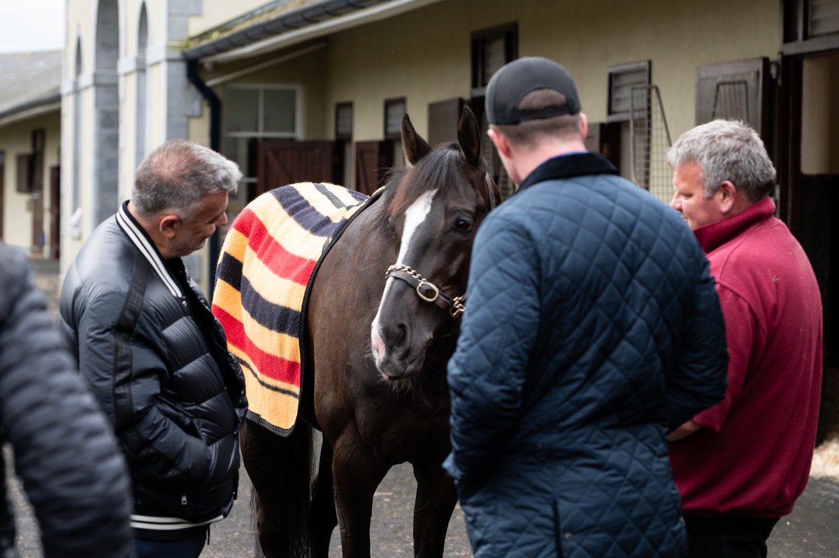 coolmorestud tweet picture