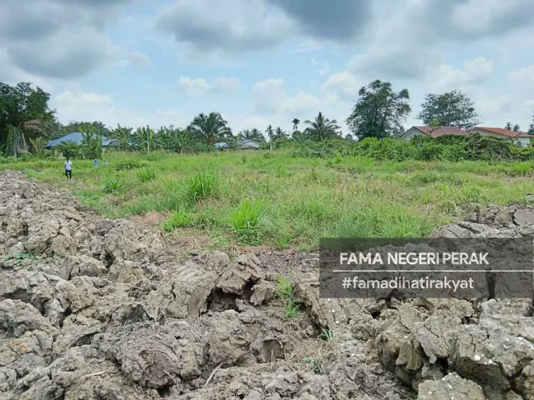 FamaNegeriPerak's tweet photo. 18 April 2024 | Khamis l Manjung

Lawatan kerja rasmi Tuan Haji Aminuddin bin Zulkipli, Pengerusi FAMA ke salah satu tapak cadangan tanaman kacang soya. Projek perintis ini adalah inisiatif FAMA dalam menerokai pembangunan dan pemasaran tanaman kacang soya. https://t.co/4PAjjE3MVv