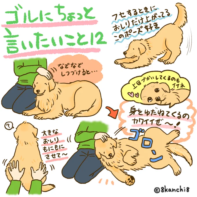 ゴルにちょっと言いたいこと12💛
#ゴールデンレトリバー
#犬のイラスト
#大型犬 