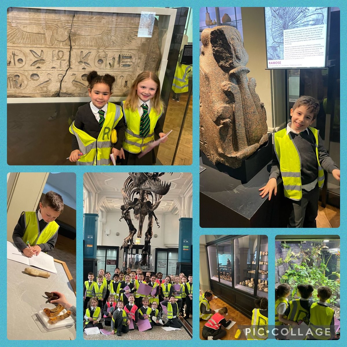 Mesne Lea tweet media