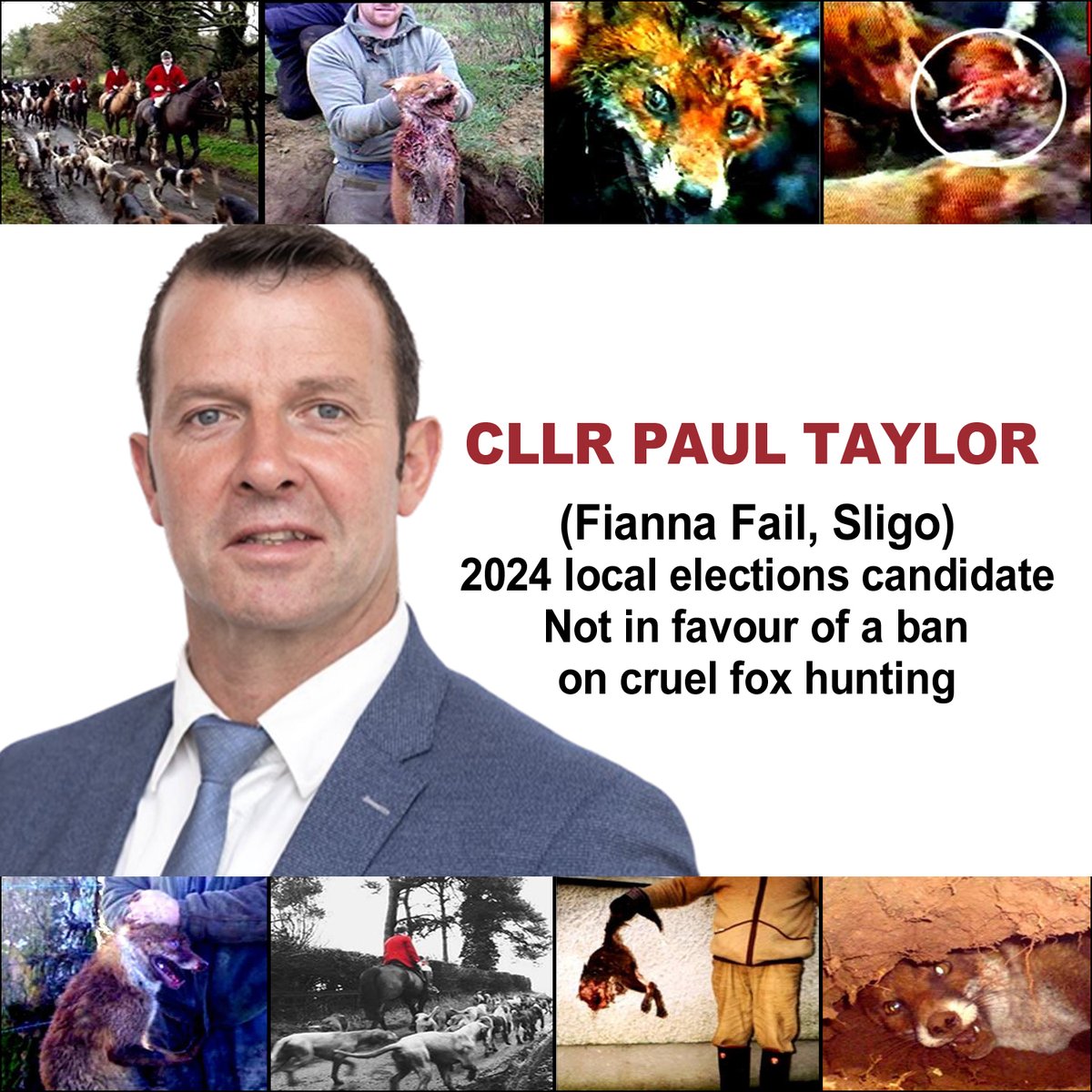 In January 2020, #LE2024 candidate Cllr Paul Taylor (Fianna Fail, #Sligo #Ballymote #Tubbercurry) shamefully voted against a council motion which called on Sligo County Council to express support for a ban on cruel fox hunting 👎👎 oceanfm.ie/2020/01/14/sli… #LE24 #AnimalCruelty