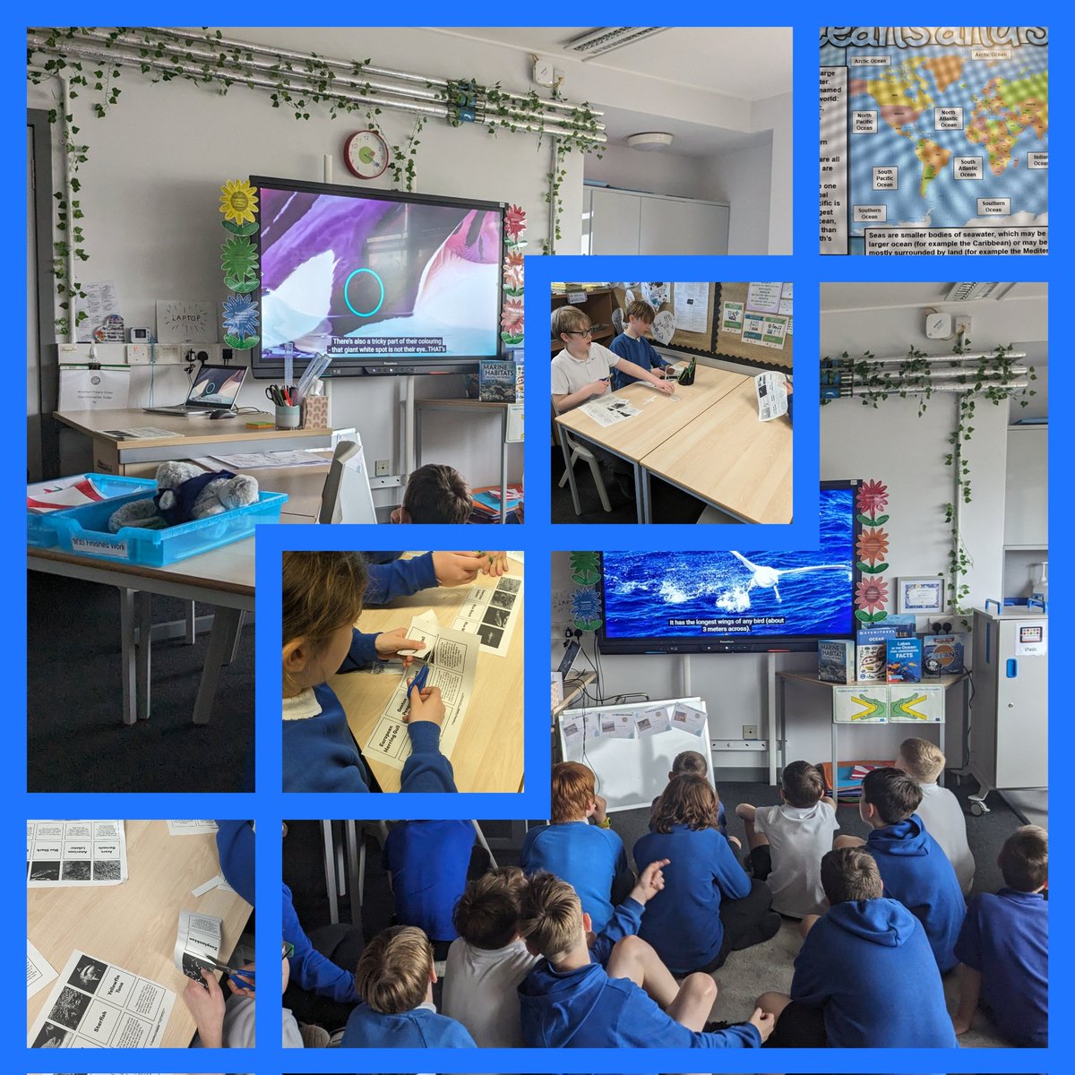 This afternoon, P6 enjoyed learning about our Oceans and Seas. They worked together to identify marine life and found out all about them. @PKCTeach #teamwork