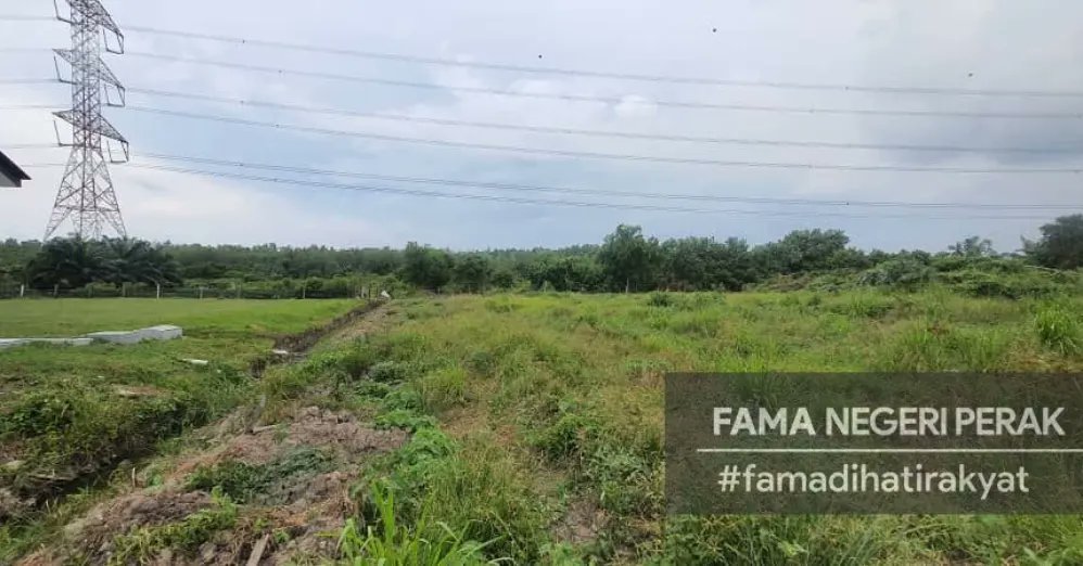 FamaNegeriPerak's tweet photo. 18 April 2024 | Khamis l Manjung

Lawatan kerja rasmi Tuan Haji Aminuddin bin Zulkipli, Pengerusi FAMA ke salah satu tapak cadangan tanaman kacang soya. Projek perintis ini adalah inisiatif FAMA dalam menerokai pembangunan dan pemasaran tanaman kacang soya. https://t.co/4PAjjE3MVv