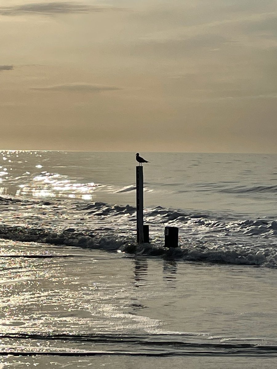 LumenLiterature's tweet photo. What we have can be replaced, if lost. What we do can be imitated. How we make others feel can have a ripple effect. What we say, has the ability to plant seeds of hope, offer encouragement, and empowerment. What we see can enlighten us to the complexities which surrounds us. https://t.co/7b9QgKZh9f