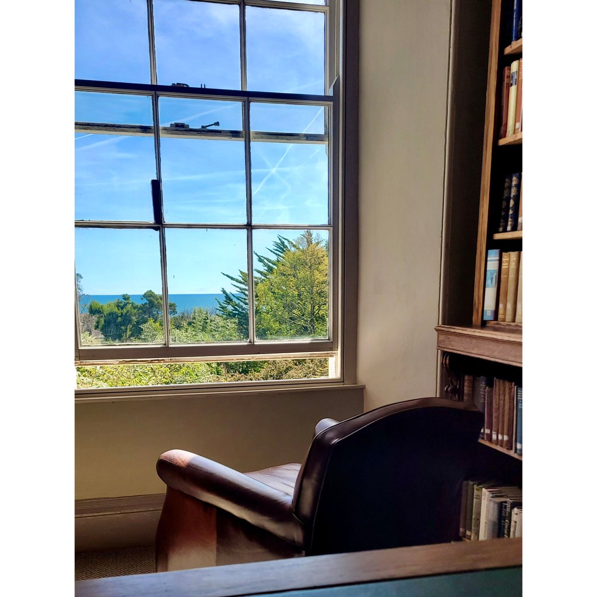 morrablibrary's tweet image. There's barely a cloud in sky over the treetops of @morrabgardens and the glistening sea this afternoon. 

#morrabgardens #libraryviews #LoveLibraries #independentlibrary #roomwithaview